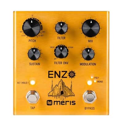 Meris   Enzo Multi Voice Synthesizer image 3