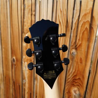 Wylde Audio Nomad Norse Dragon Raw Top 6-String Electric Guitar image 8