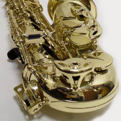 Used Selmer Paris Super Action 80 Series II 52NG Professional Alto Saxophone image 2