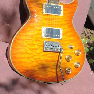 Washburn WI-66V 2002 - Honeyburst image 1