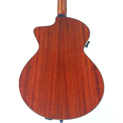Schertler SM Acoustic Guitar – A Rare Gem in Electro-Acoustic Innovation - check video! image 5