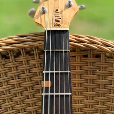 Gravity Guitar Venus image 11