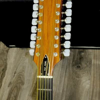 1971 Smith BW-18-P 18-String Cutaway image 6