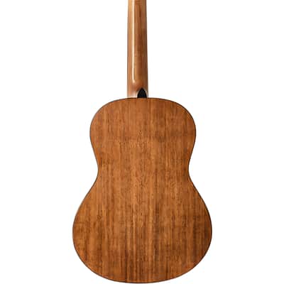 Peavey Delta Woods CNS 3/4 Size Classical Nylon String Acoustic Guitar image 4