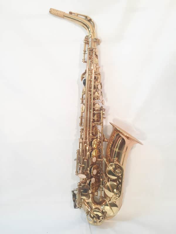 Musikwerks-Gold Lacquer Alto Saxophone-Intermediate Level-New-w/Shop Warranty! image 1