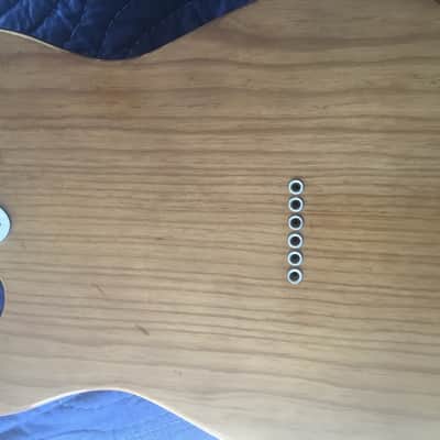 Fender Telecaster Thinline 1973 - 1978 - Walnut (Mocha) image 5