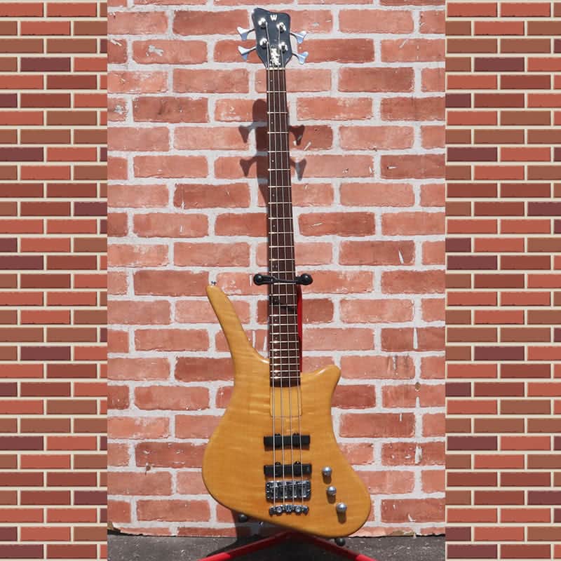 Warwick Dolphin pro2 | Rare model & Fine condition | Free shipping | Made in Japan image 1