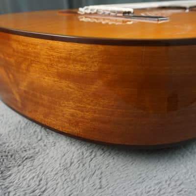 Morris MC-111 Japan Classical Guitar | Reverb