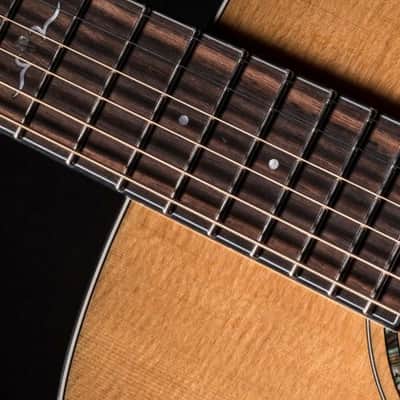 Cort All Solid Woods Gold Series A6 Auditorium w/ Fishman Flex Blend Electronics, Case image 22