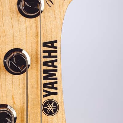 Yamaha Attitude Limited 3, signed by Billy Sheehan image 8