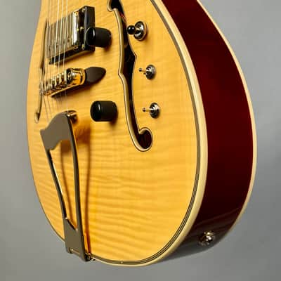 Eastwood Classic 6 TA PH Languedoc Anastasio Style Hollowbody Natural image 9