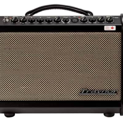 Traynor AMMINI | 65W Acoustic Guitar and Mic Amp. Demo Model with Full Warranty! image 2