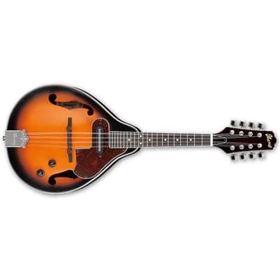 Aria AM200E Electro Mandolin in Brown Sunburst w/Case | Reverb