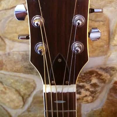 Vintage Ventura V12 c.1970s Natural 1971 Natural image 3