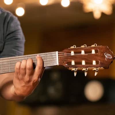 Ortega RCE158SN Performer Series Solid Spruce Top Mahogany Neck Cutaway Nylon 6-String Classical Acoustic-Electric Guitar w/Gig Bag image 22