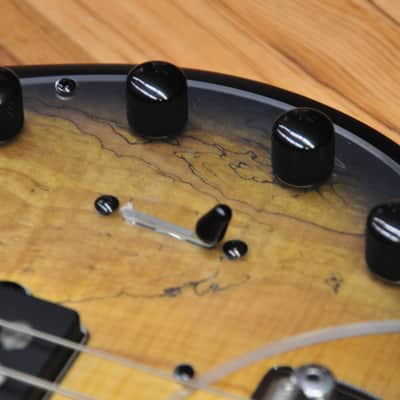 Sterling by Music Man Stingray 35HH - Natural Burl Satin image 8