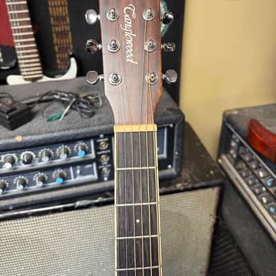 Tanglewood Winter leaf acoustic electric guitar. See details - Natural image 6