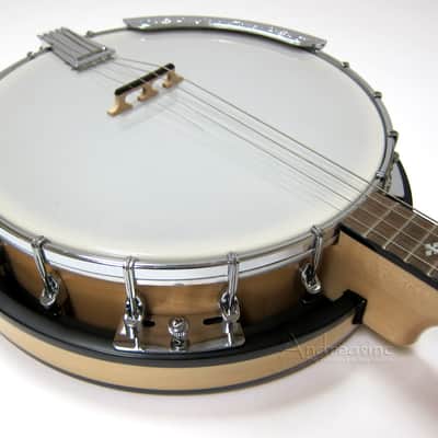 Gold Tone 4-String Irish Tenor Banjo w/ Gig Bag image 3