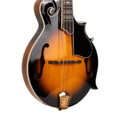 Gold Tone Mastertone™ GM-70+: F-Style Mandolin with Case image 24