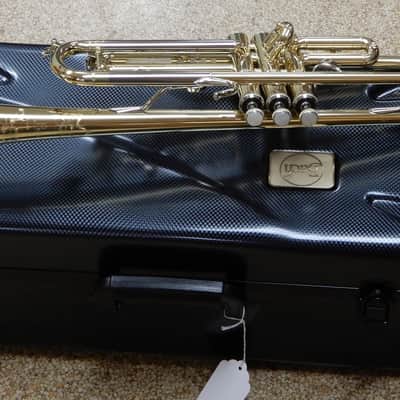 Bach TR200 Series Bb Trumpet Lacquered Brass image 2