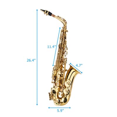 Eb Alto Saxophone Outfit Gold Lacquered Brass w/ Hard Case, Mouthpiece, Reed & Gloves image 2
