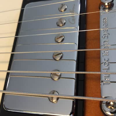 Godin Session (made in USA/Canada)  includes matching soft case image 9