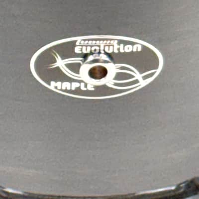 Ludwig Evolution Maple 8x10" Rack Tom 2017 - 2020 - Transparent Black image 2