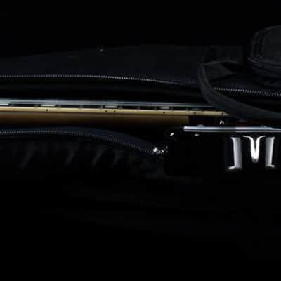 D'Angelico Premier Bedford Black (639) image 7