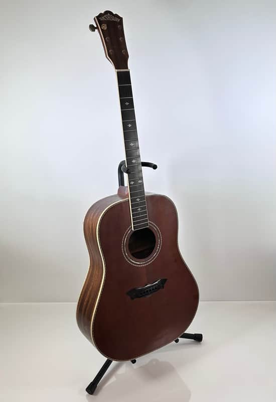 Washburn Vintage Series WSJ-124K Acoustic Guitar (Limited Edition of 250) image 1