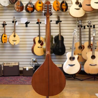 Gold Tone BZ-500 Irish Bouzouki Mandolin w/Hard Case image 6