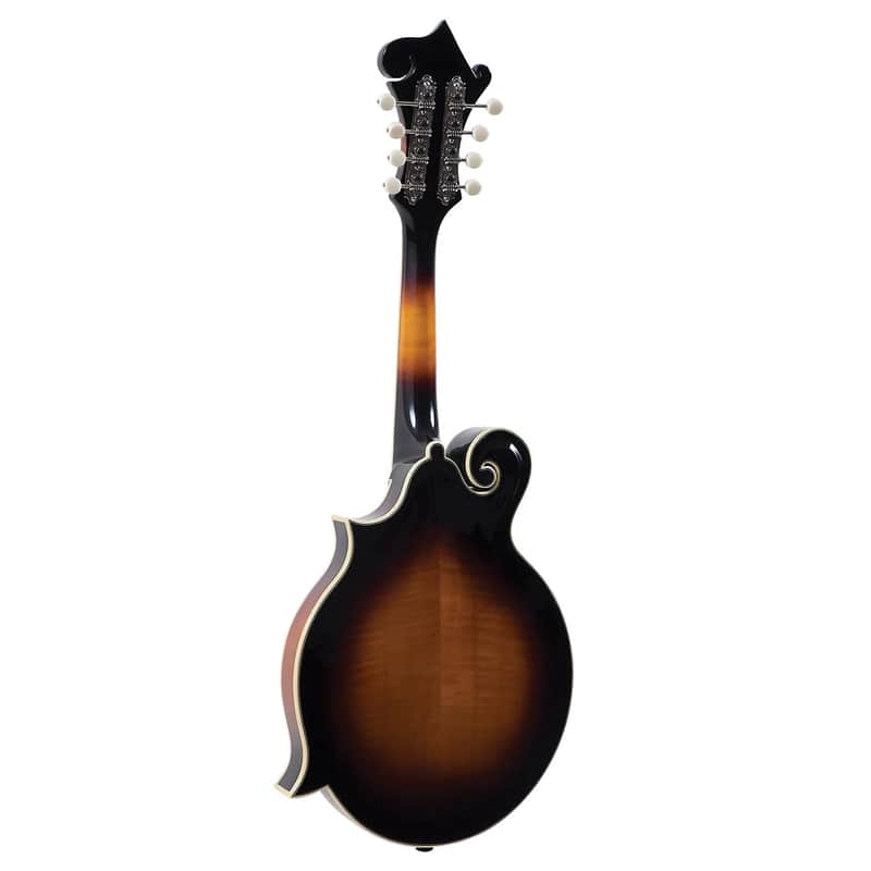 The Loar LM-600 Professional F-Style Mandolin | Reverb