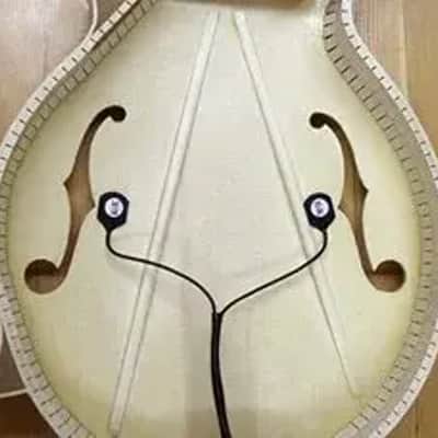 K&K Mandolin Twin Internal Dual-Head Pickup image 3