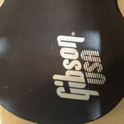 Gibson Les Paul Deluxe 2001 - Pete Townshend #5 Tribute image 12