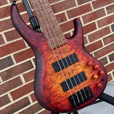 MTD 535-24, 2026 Model, Dark Cherry Sunburst, Maple Burl Top, Northern Ash Body, Ash Neck, Roasted Birdseye Maple Fretboard, Matching Knobs, Matching Backplates, MTD World Logo, Custom Bartolini Pickups & Preamp, TKL Deluxe Gig Bag image 3