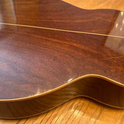 1978 Giannini AWN-21 - Natural Brazilian Rosewood/Jacaranda image 9