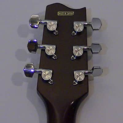 Fender F-240A and Levy's Cowboy Case F-240A 1980's - Gloss image 21