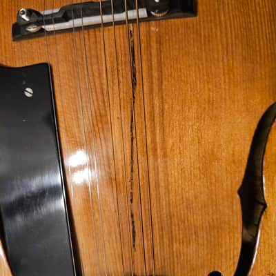 Harmony ? Mandolin imagen 3