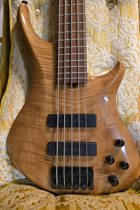 Roscoe SKB-3005 Custom image 1