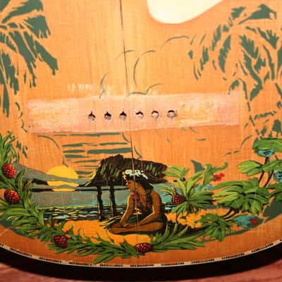 Supertone Parlor Acoustic 1930's Decalcomania w/Case image 5
