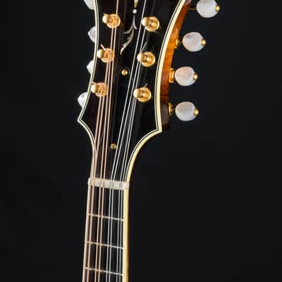 Kimble BB-25 Butch Baldassari F-5 Mandolin #3 of 5 Used (2008) image 13