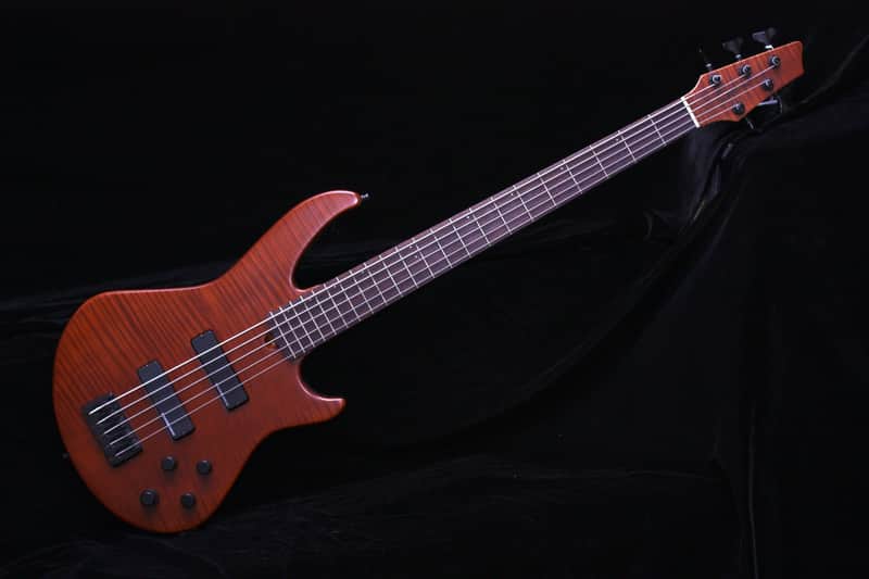 Godin BG5 5 String Bass image 1