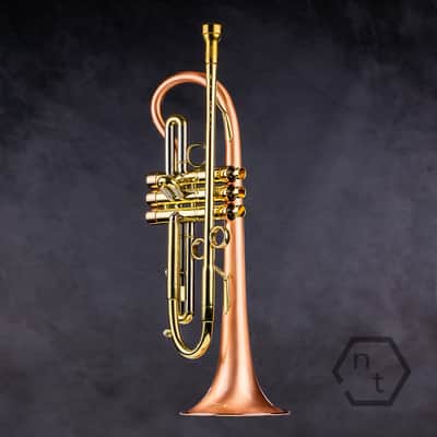 Taylor 46 Balladeer Bb trumpet / flugelhorn hybrid 2020, matte lacquer image 1