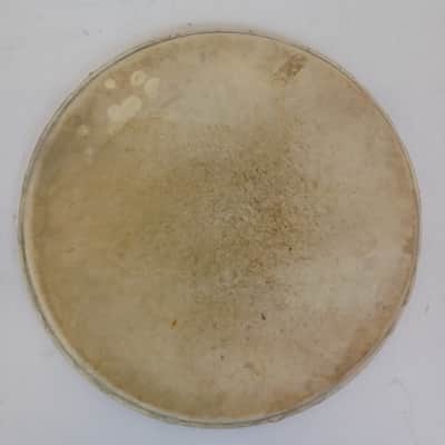 Leedy 16" 20s Calf Skin Floor Tom Drum Batter/Resonant Head USA Marching Snare image 1