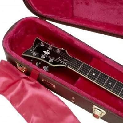 Gator Semi-Hollow Guitar Deluxe Wooden Case image 6