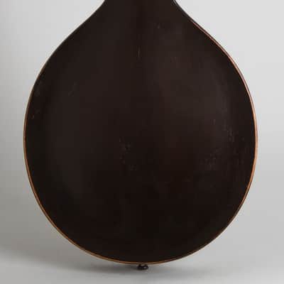 Gibson  Style A Snakehead Carved Top Mandolin (1925), ser. #77389, black tolex hard shell case. image 4