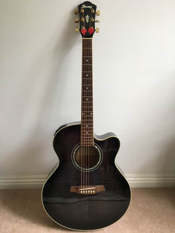 Ibanez AEL20E / AEL40SEジャンク　ケース付 Amazon.com - Ibanez Hardshell Acoustic Case AEL, EW Series Guitars