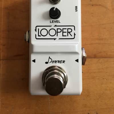 Hotone Skyline Wally Looper | Reverb