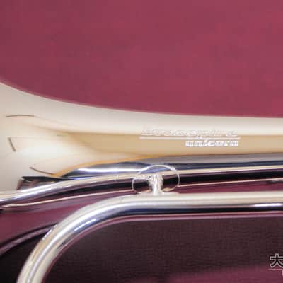 Brasspire Unicorn BPFG-850BS Black Nickel Trim (NEW) Flugelhorn image 11