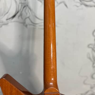Gibson Explorer 2007 - Natural image 7