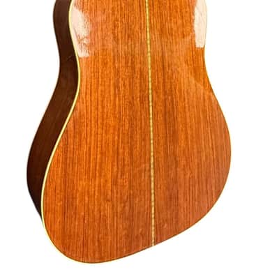 Alvarez Guitar - Acoustic 5058 image 2